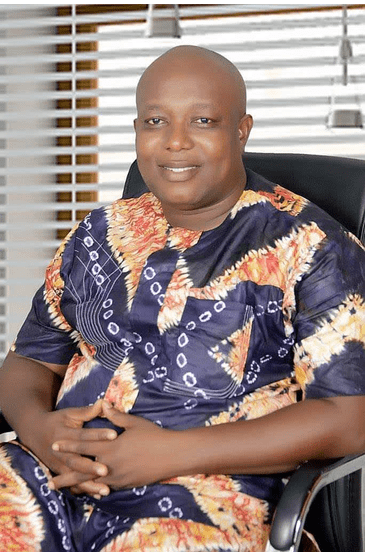 stephen udoh md ceo